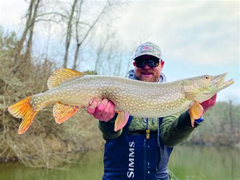 What is the best temperature for pike?