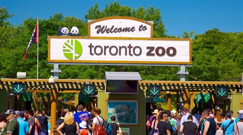 What is the best time of day to visit Toronto Zoo?
