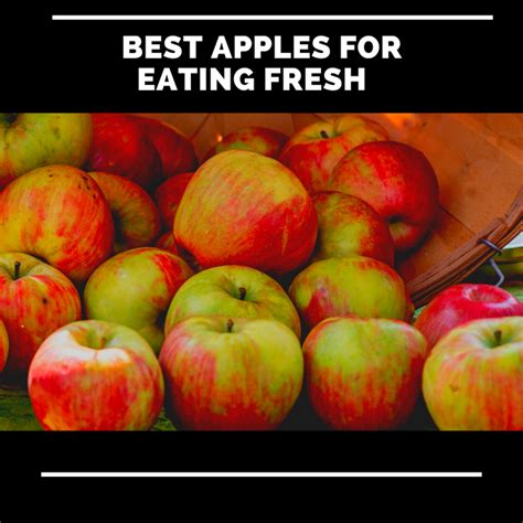 What is the best time to eat apples?