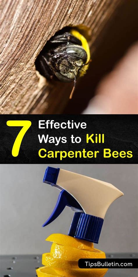 What is the best time to kill bees?