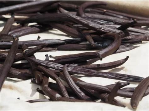 What is the best vanilla from Madagascar?