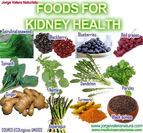 What is the best vegetable for kidney?