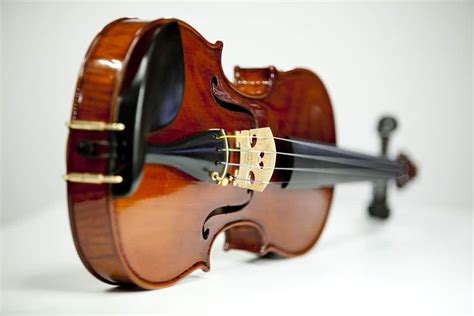What is the best violin to buy for a beginner?
