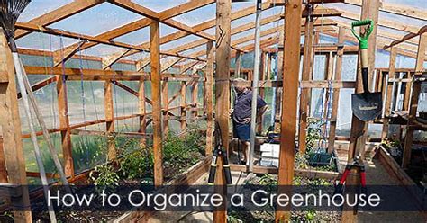 What is the best way to organize a greenhouse?