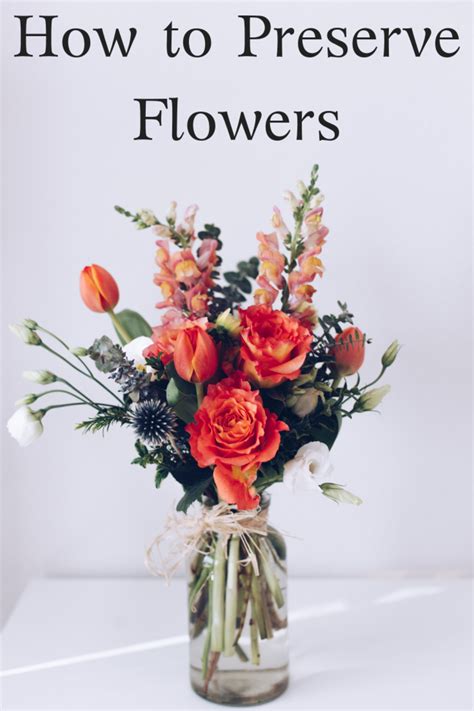 What is the best way to preserve flowers?