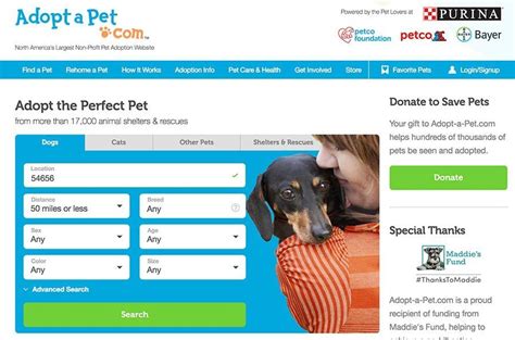 What is the best website to adopt a dog?