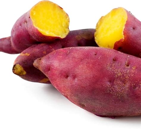 What is the best yielding sweet potato?