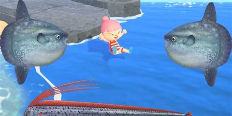 What is the biggest fish in Animal Crossing?