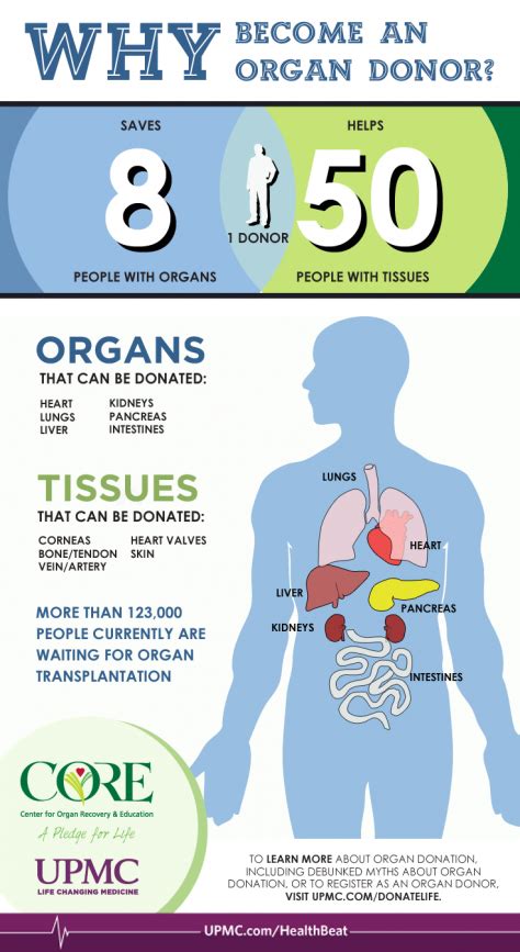What is the biggest problem for organ donation?