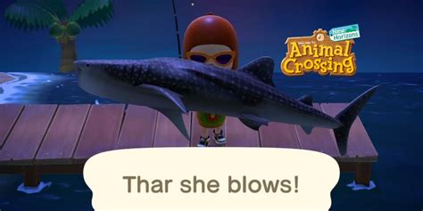 What is the biggest shark in Animal Crossing?