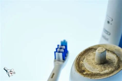 What is the black gunk in my electric toothbrush?