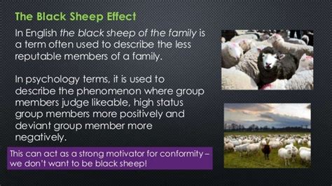 What is the black sheep effect in psychology?