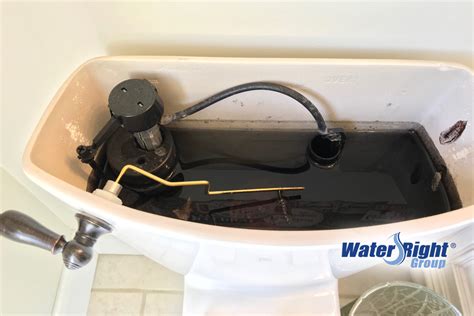 What is the black stuff in my toilet tank?