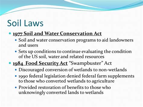 What is the blood soil law?