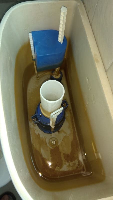 What is the brown stuff in my toilet tank?