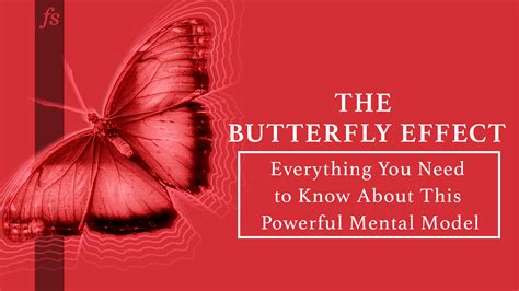What is the butterfly effect OCD?