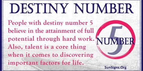 What is the career of a number 5 destiny?
