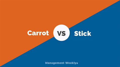What is the carrot vs stick analogy?