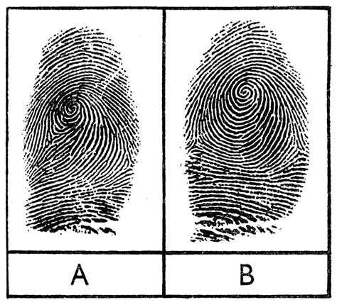 What is the chance of 2 fingerprints matching?