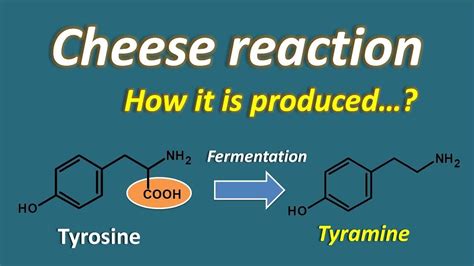 What is the chemical reaction of making cheese?