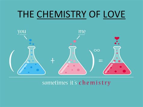 What is the chemistry behind love?