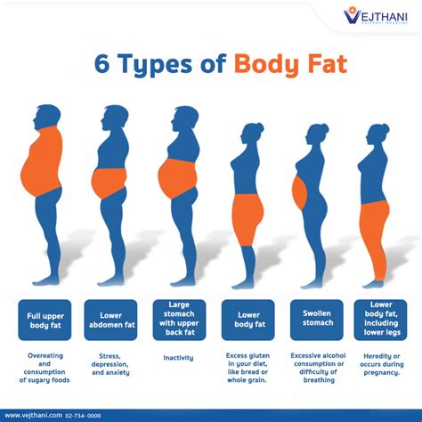 What is the chubby body type for men?