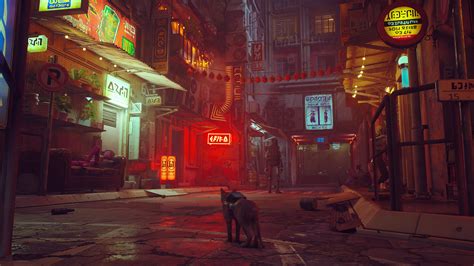What is the city in the Stray game?