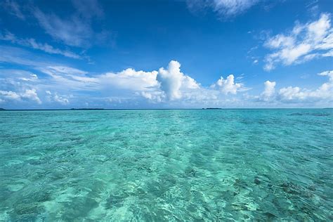 What is the cleanest sea ever?