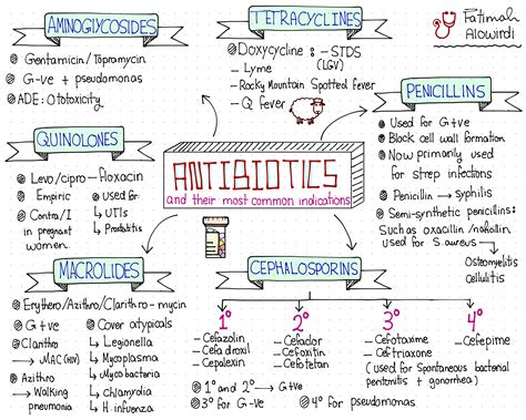 What is the closest thing to an antibiotic?