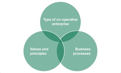 What is the co-op business model?