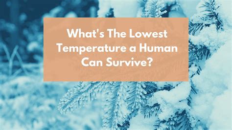 What is the coldest temp humans can survive?
