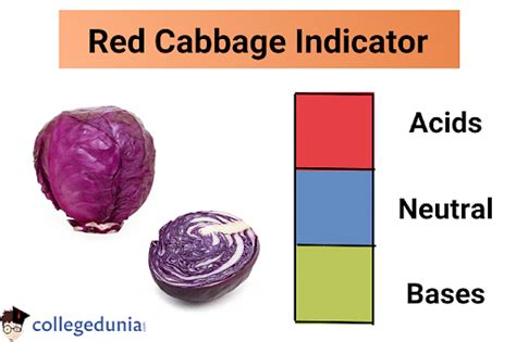 What is the color code for red cabbage?