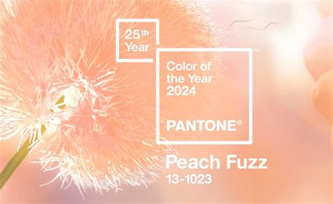 What is the color of the peach in 2024?