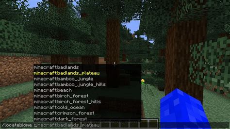 What is the command for find location in Minecraft?