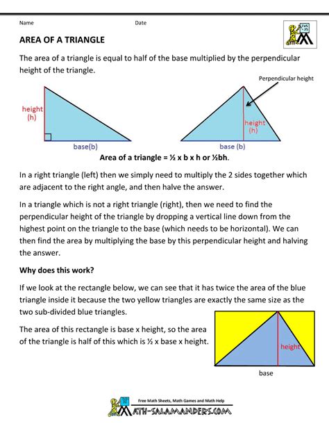 What is the conclusion of the area of a triangle?