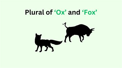 What is the correct plural of fox?
