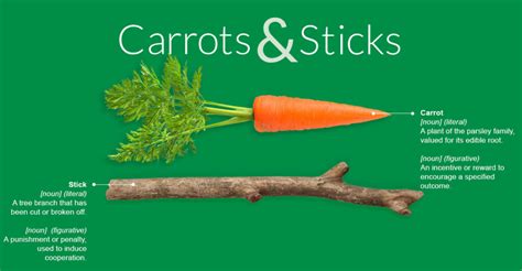 What is the criticism of carrot and stick theory?