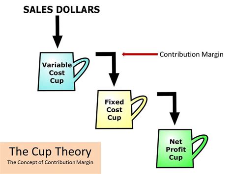 What is the cup theory?