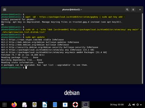 What is the default editor in Debian Linux?