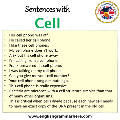 What is the definition of a cell in a sentence?