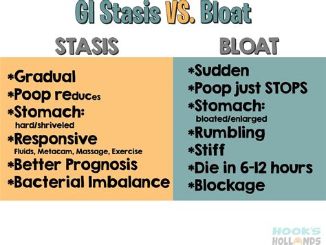 What is the difference between GI stasis and bloat?