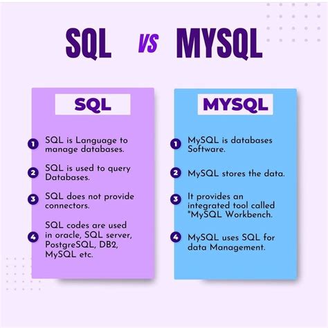 What is the difference between MySQL server and MySQL database?