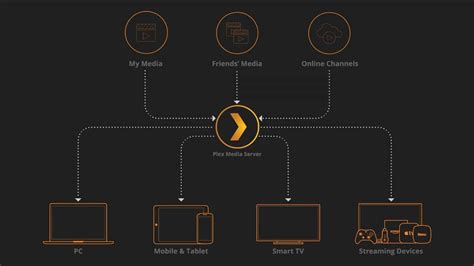 What is the difference between Plex and Plex server?