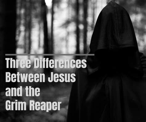 What is the difference between Reaper and Creeper?