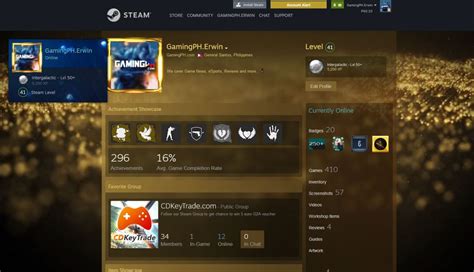 What is the difference between Steam profile and account?