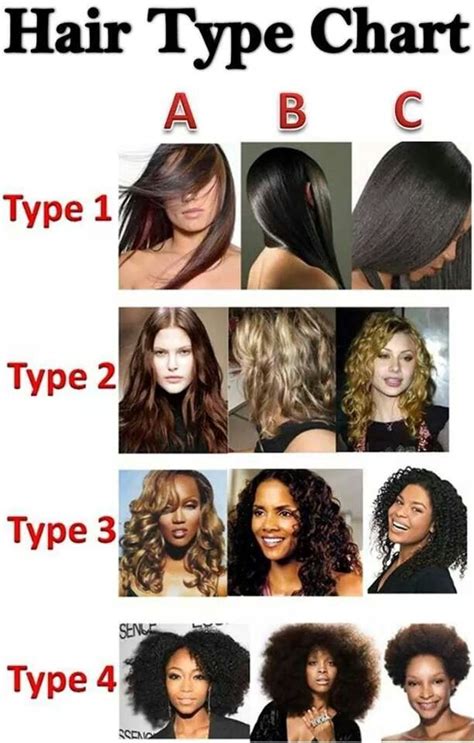 What is the difference between Type 1 and Type 4 hair?