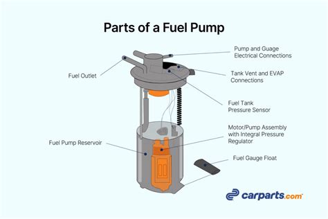 What is the difference between a fuel pump and a fuel pump module?