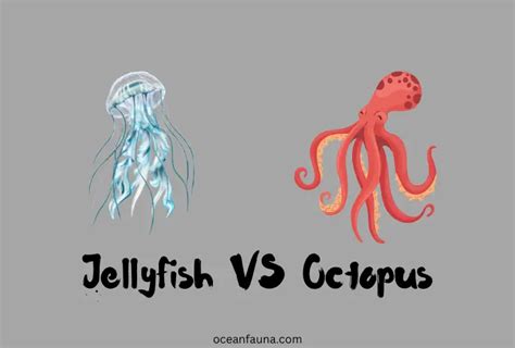 What is the difference between a jellyfish cut and an octopus cut?