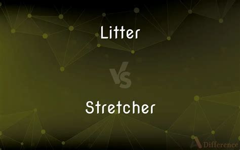 What is the difference between a litter and a stretcher?