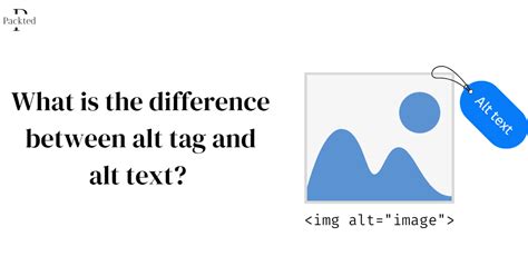 What is the difference between alt tag and alt text?